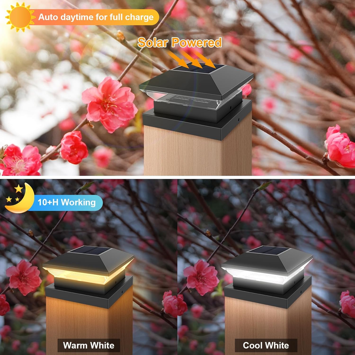 Lampu Tiang Tenaga Surya, Lamp - Post Cap Light ulasan dan harga